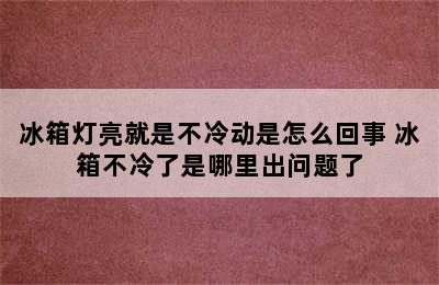 冰箱灯亮就是不冷动是怎么回事 冰箱不冷了是哪里出问题了